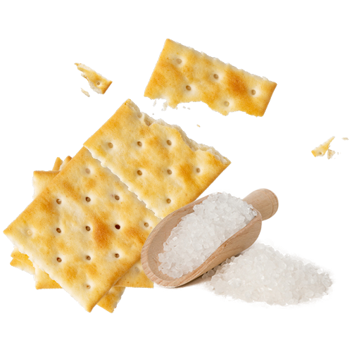 ソルトソーダクラッカー